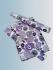 BEDSHEET ERODE AHEMADHABAD PRINT 72X90 2 PILLOW COVER